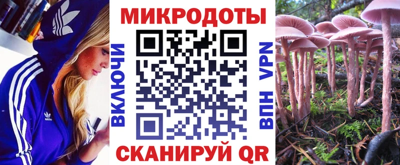 хочу   Анива  маркетплейс телеграм  Псилоцибиновые грибы Psilocybe 